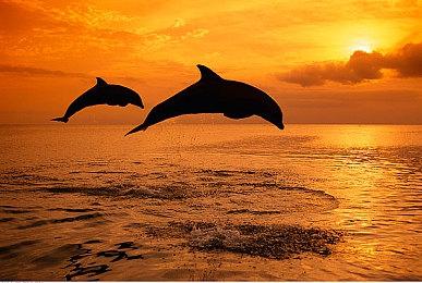 大富翁玩法《鬼灭之刃》游戏确定明年4月发售